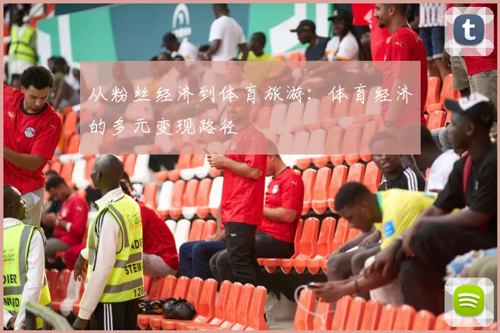 从粉丝经济到体育旅游:体育经济的多元变现路径