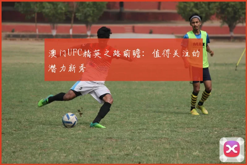 澳门UFC精英之路前瞻：值得关注的潜力新秀
