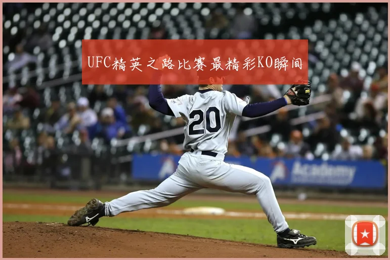 UFC精英之路比赛最精彩KO瞬间