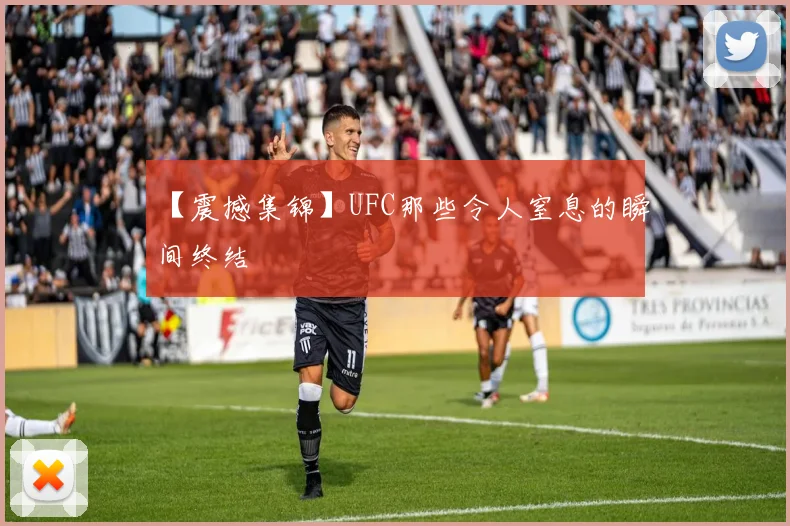 【震撼集锦】UFC那些令人窒息的瞬间终结