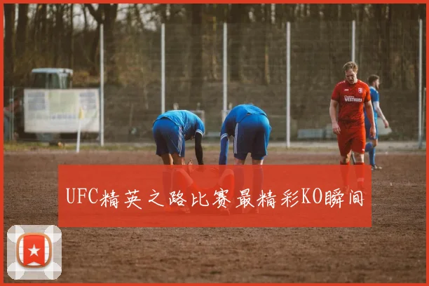 UFC精英之路比赛最精彩KO瞬间