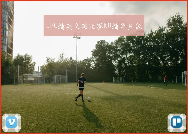 UFC精英之路比赛KO精华片段