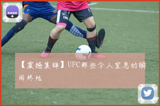 【震撼集锦】UFC那些令人窒息的瞬间终结