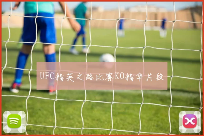 UFC精英之路比赛KO精华片段